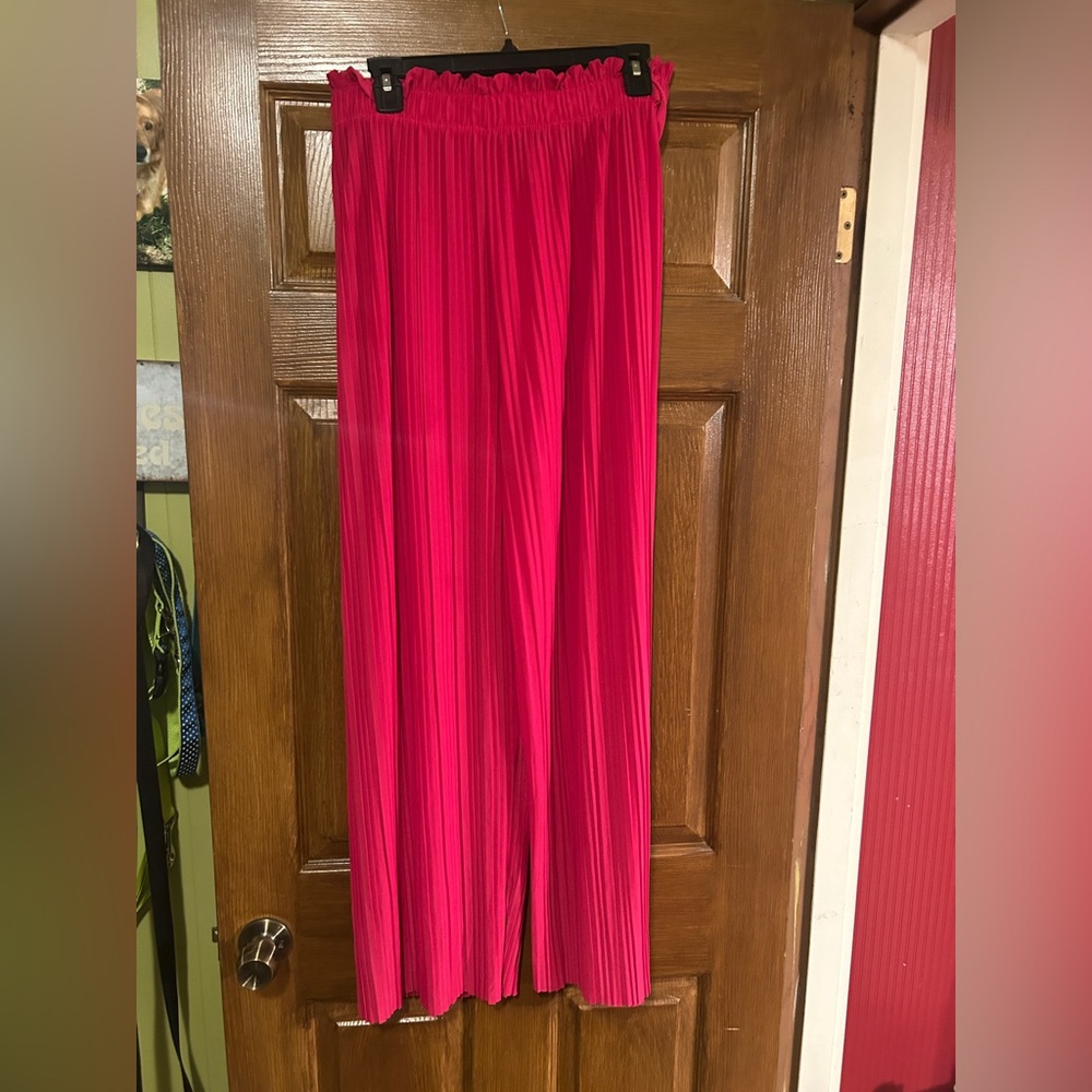 NWOT * Vibrant hot pink Pleated Pants -XL